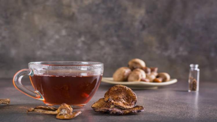 Whispering Leaves & Talking Trees: A Psilocybin Tea Experience 4 Whispering Leaves & Talking Trees: A Psilocybin Tea Experience