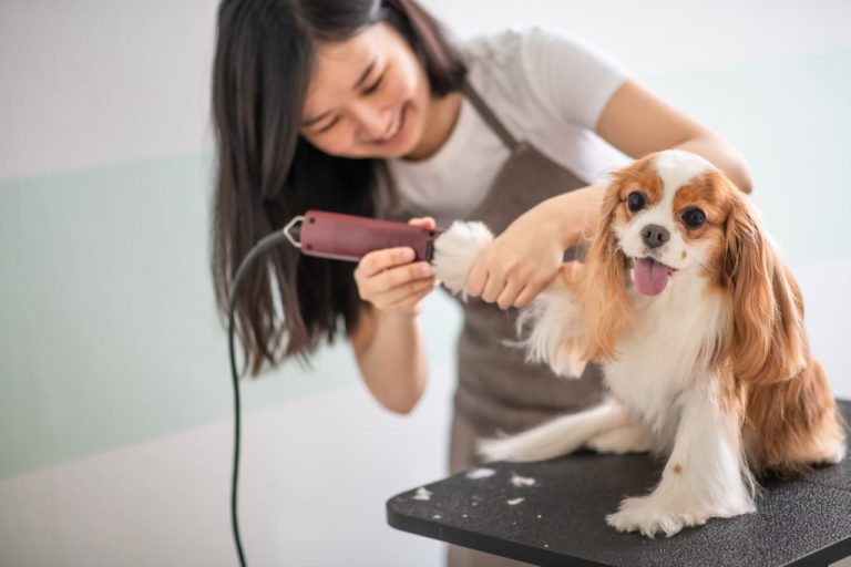 What are the key milestones in the evolution of pets? 8 What are the key milestones in the evolution of pets